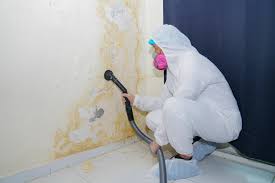 Best Mold Odor Removal Services  in Timonium, MD